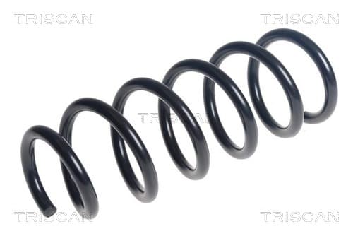Spiralfjäder fram från TRISCAN