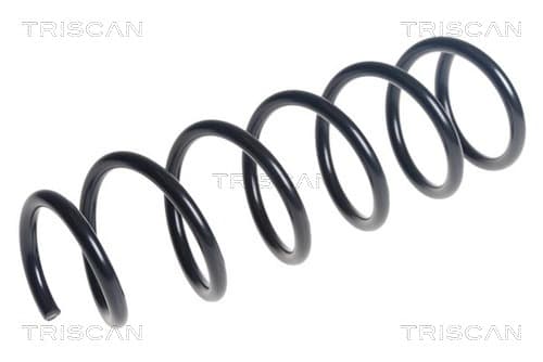 Spiralfjäder bak från TRISCAN