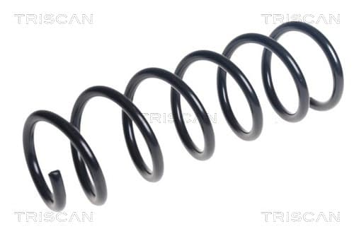 Spiralfjäder bak från TRISCAN
