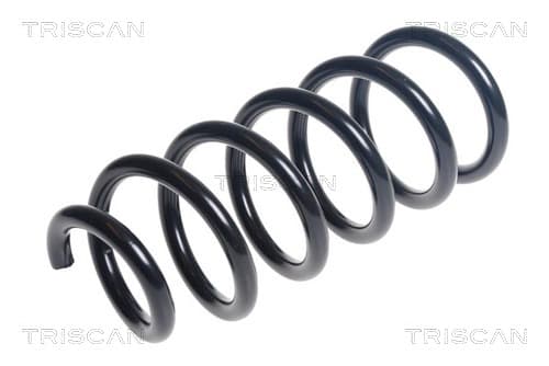 Spiralfjäder fram från TRISCAN
