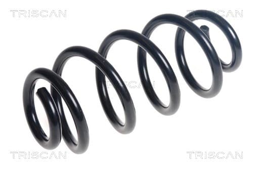 Spiralfjäder bak från TRISCAN