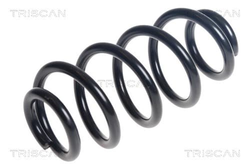Spiralfjäder bak från TRISCAN