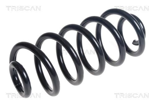 Spiralfjäder bak från TRISCAN