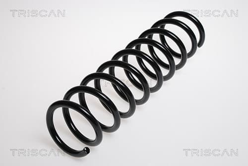 Spiralfjäder bak från TRISCAN