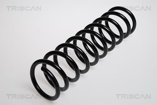 Spiralfjäder bak från TRISCAN