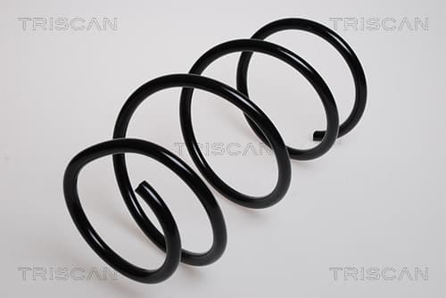 Spiralfjäder fram från TRISCAN