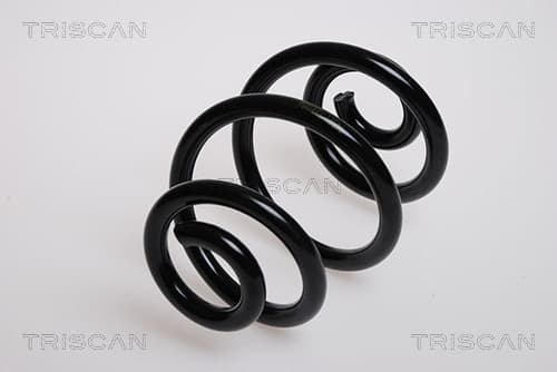 Spiralfjäder bak från TRISCAN