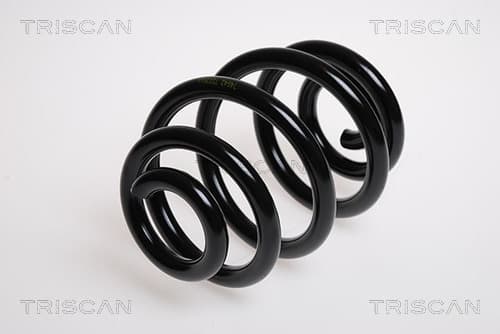Spiralfjäder bak från TRISCAN