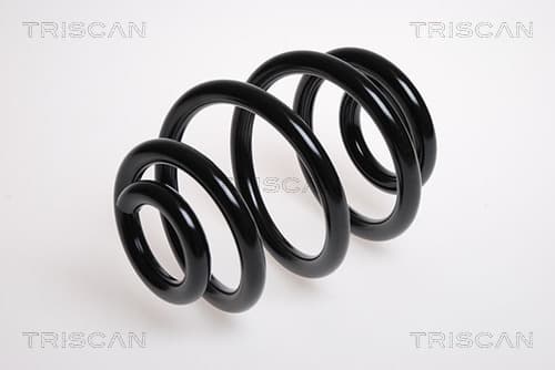 Spiralfjäder bak från TRISCAN