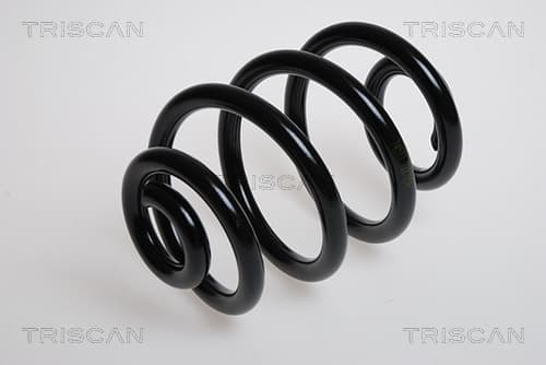Spiralfjäder bak från TRISCAN