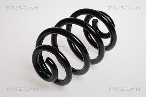 Spiralfjäder bak från TRISCAN
