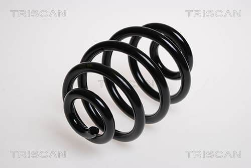 Spiralfjäder bak från TRISCAN