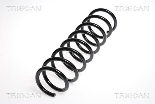 Spiralfjäder bak från TRISCAN