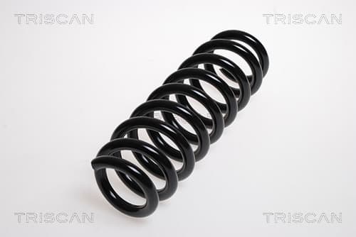 Spiralfjäder bak från TRISCAN