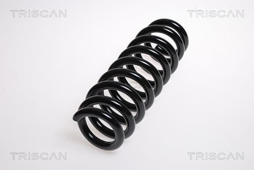 Spiralfjäder bak från TRISCAN