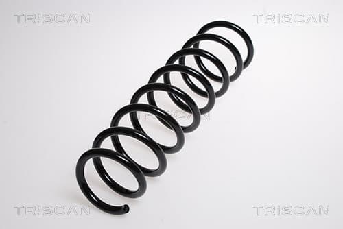 Spiralfjäder bak från TRISCAN