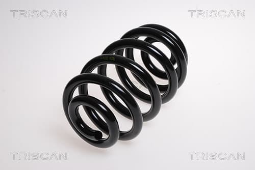 Spiralfjäder bak från TRISCAN