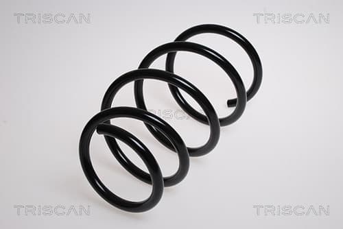 Spiralfjäder fram från TRISCAN