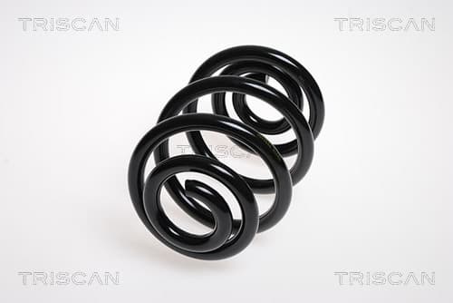 Spiralfjäder bak från TRISCAN
