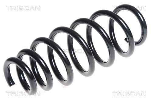 Spiralfjäder fram från TRISCAN