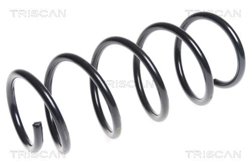 Spiralfjäder fram från TRISCAN