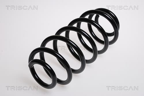 Spiralfjäder bak från TRISCAN