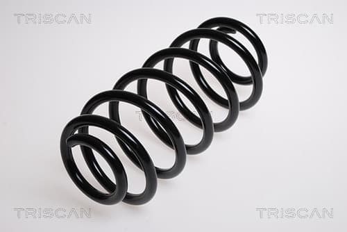 Spiralfjäder bak från TRISCAN