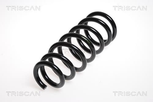 Spiralfjäder bak från TRISCAN