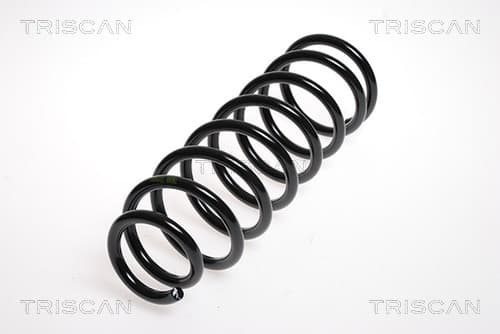 Spiralfjäder bak från TRISCAN