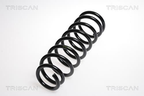 Spiralfjäder bak från TRISCAN