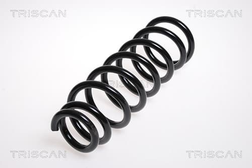 Spiralfjäder bak från TRISCAN