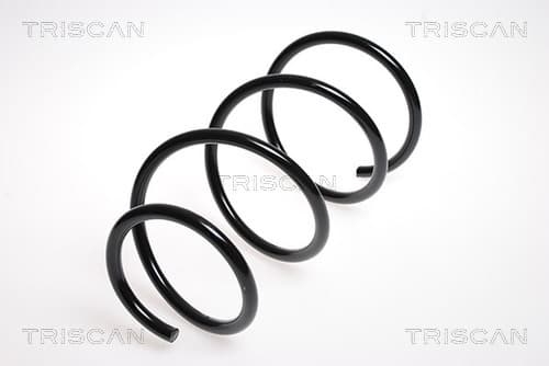 Spiralfjäder fram från TRISCAN