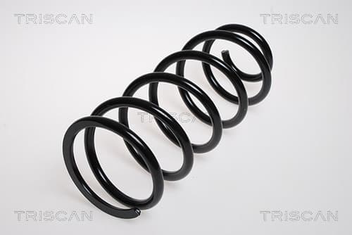 Spiralfjäder bak från TRISCAN