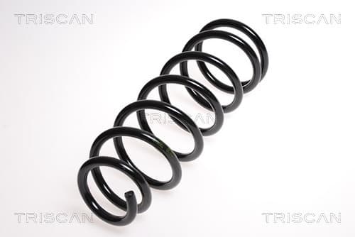 Spiralfjäder bak från TRISCAN