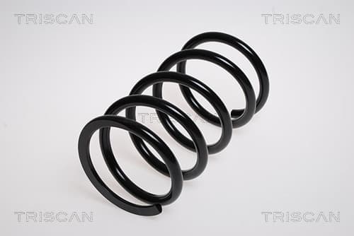 Spiralfjäder bak från TRISCAN