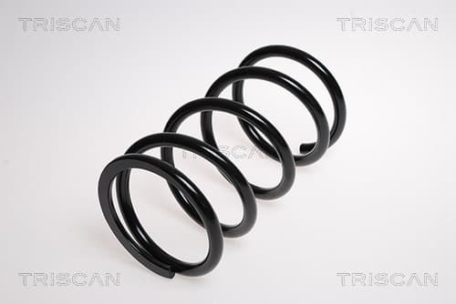 Spiralfjäder bak från TRISCAN