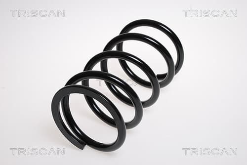 Spiralfjäder bak från TRISCAN