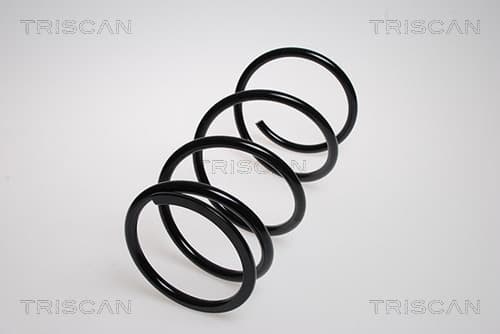 Spiralfjäder fram från TRISCAN