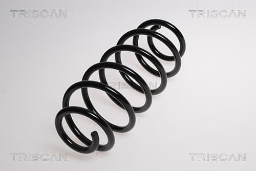 Spiralfjäder bak från TRISCAN