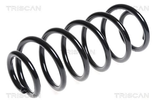Spiralfjäder bak från TRISCAN