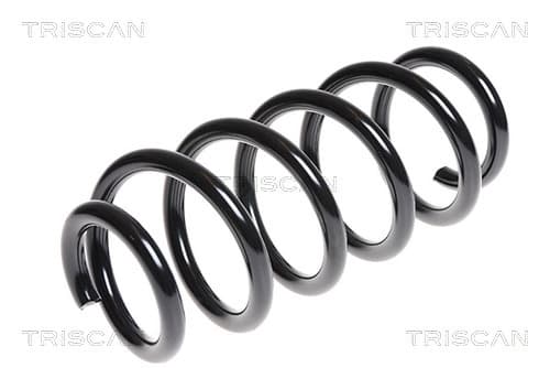 Spiralfjäder bak från TRISCAN