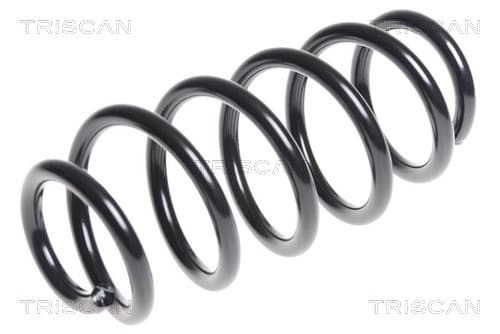 Spiralfjäder bak från TRISCAN