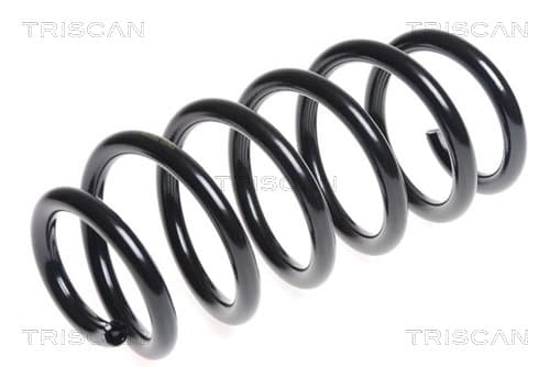 Spiralfjäder bak från TRISCAN