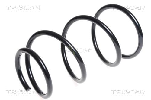 Spiralfjäder fram från TRISCAN