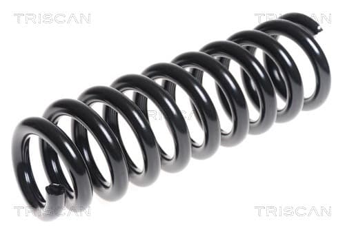 Spiralfjäder fram från TRISCAN