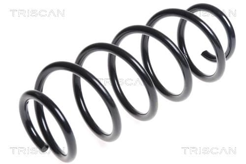 Spiralfjäder bak från TRISCAN
