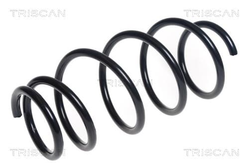 Spiralfjäder fram från TRISCAN