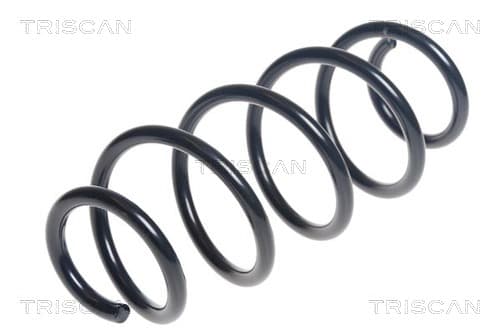 Spiralfjäder bak från TRISCAN
