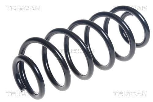Spiralfjäder bak från TRISCAN
