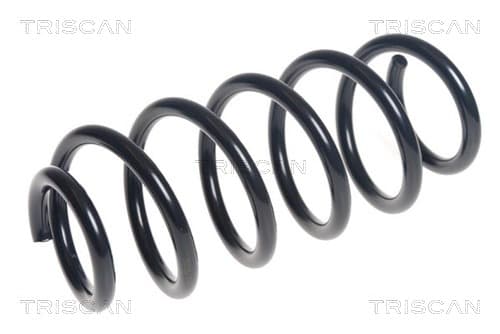 Spiralfjäder bak från TRISCAN